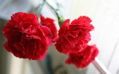 Отважные герои Ветхого Завета, известные и не очень